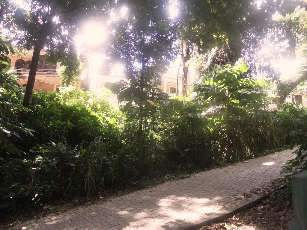 Forest View Homestay 캔디 외부 사진